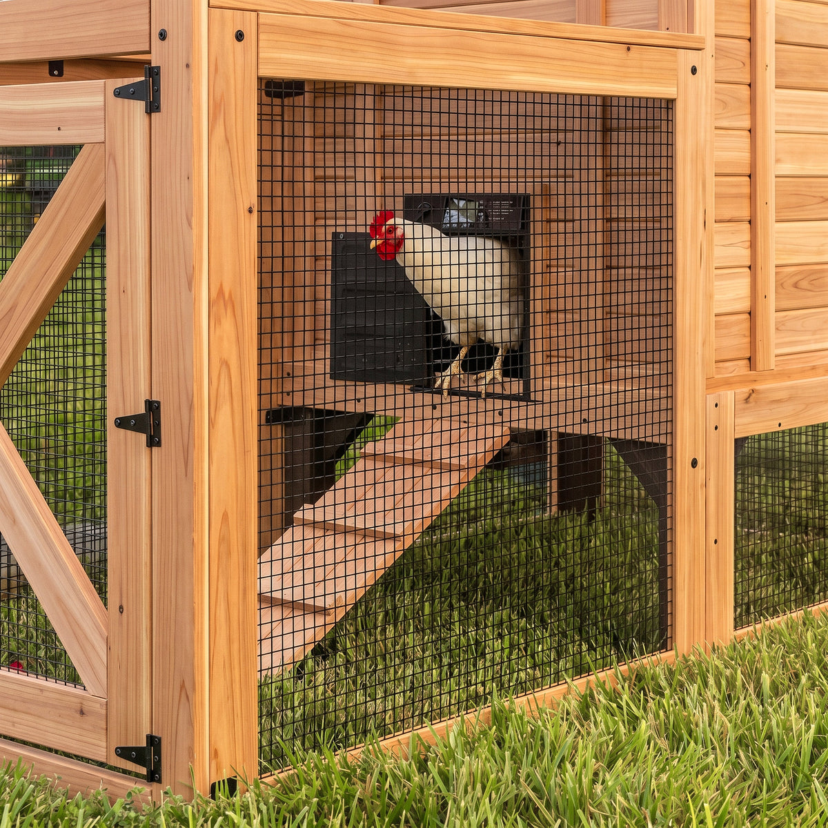 Sweetwater Chicken Coop - Brown